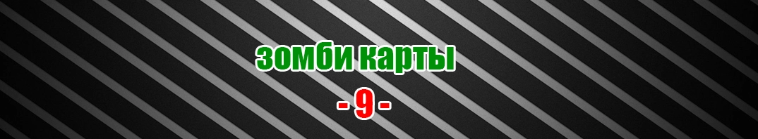 zm09.webp